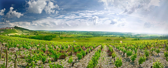 Gitton Pere & Fils