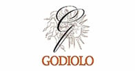 Godiolo logo Godiolo logo