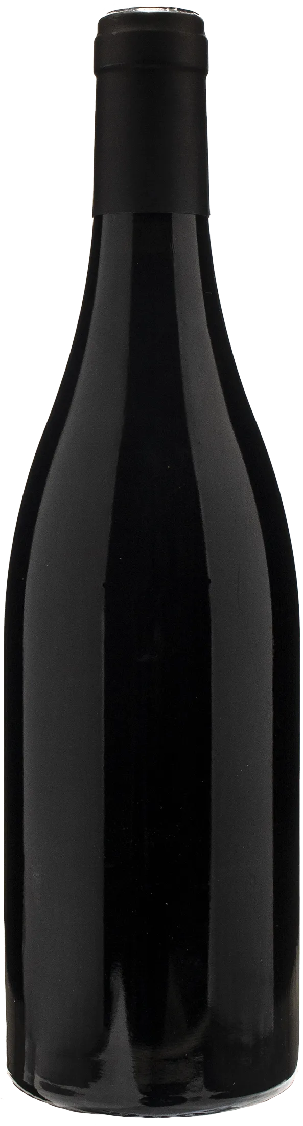 Gottardi Pinot Nero Riserva 2019