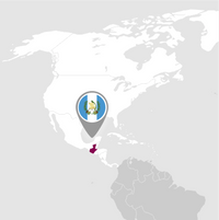 Produktionsbereich: Guatemala Produktionsbereich: Guatemala