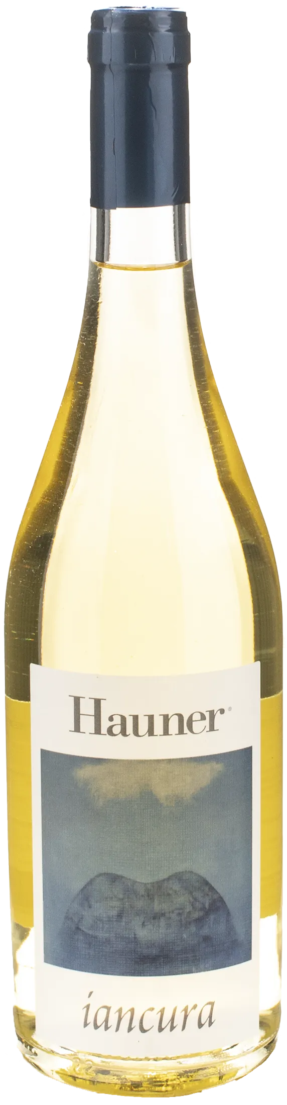 Hauner Iancura 2023