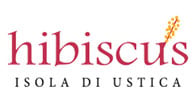 Hibiscus logo Hibiscus logo