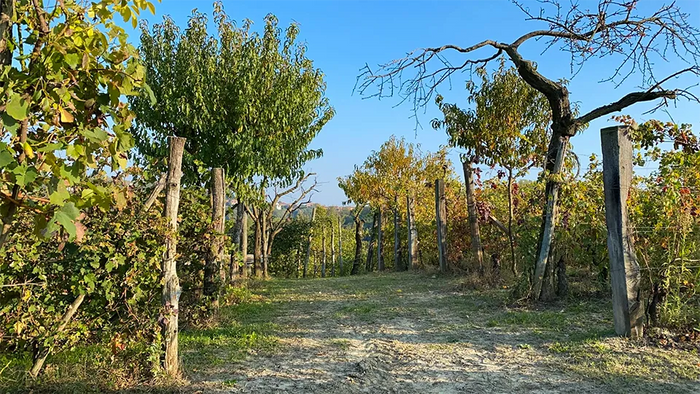 Hilberg Pasquero