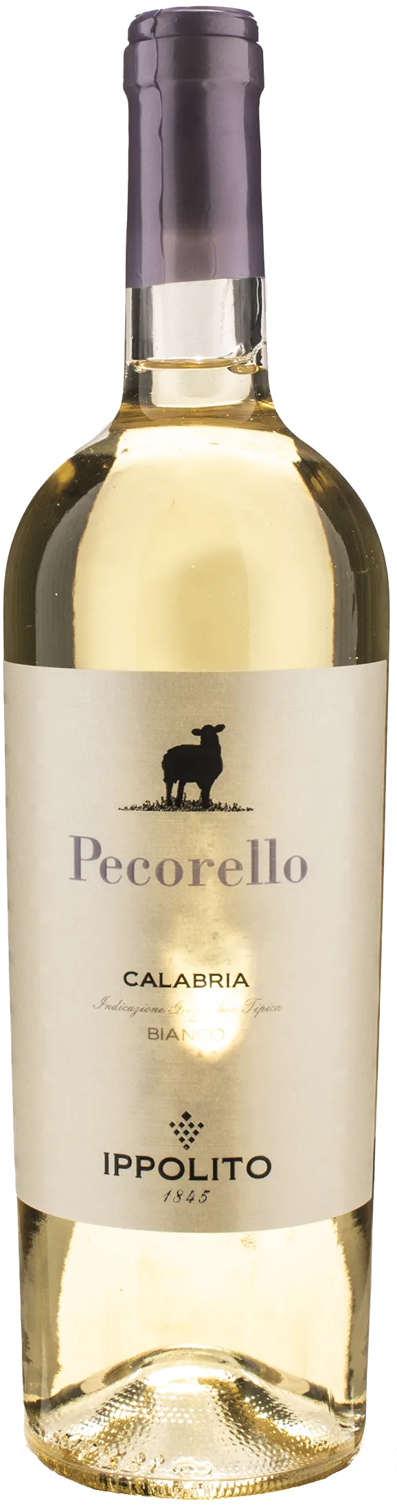 Ippolito 1845 Pecorello 2024