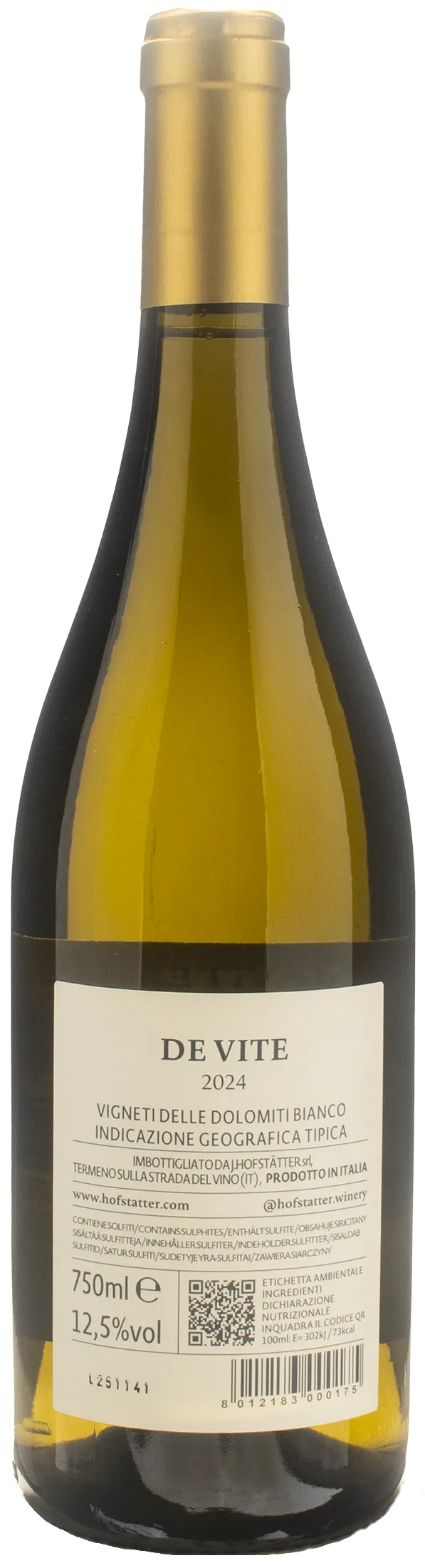 J. Hofstatter De Vite 2024