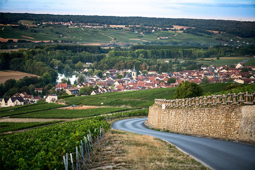 Joseph Perrier Joseph Perrier