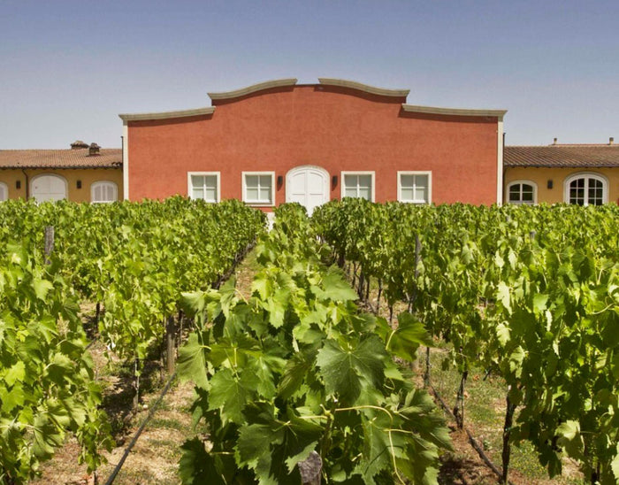 La Braccesca (Antinori)
