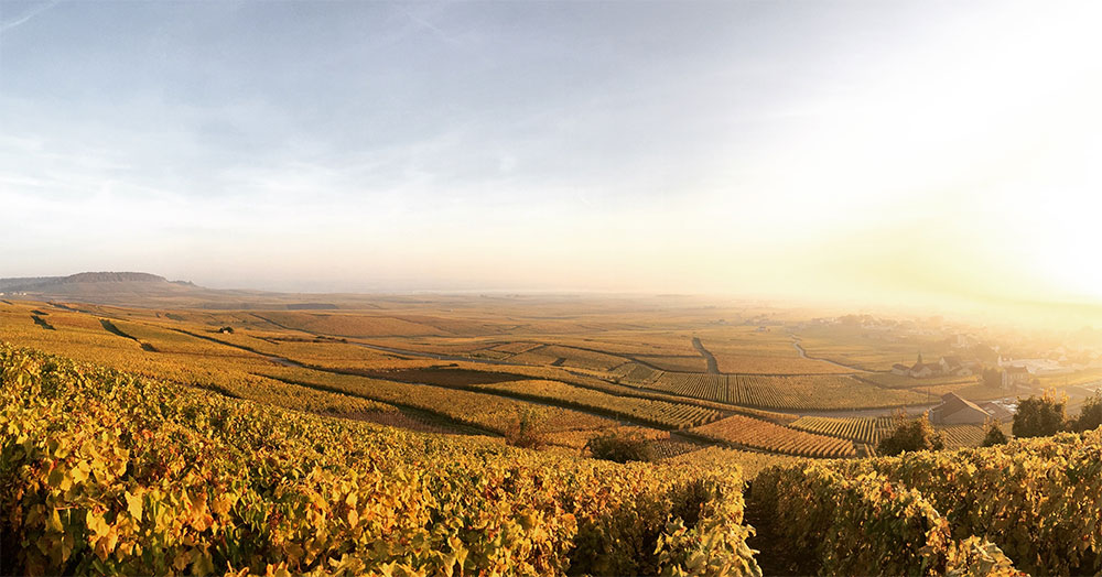 La Rogerie La Rogerie