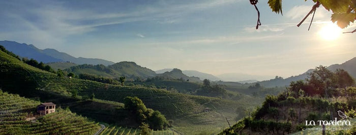 La Tordera