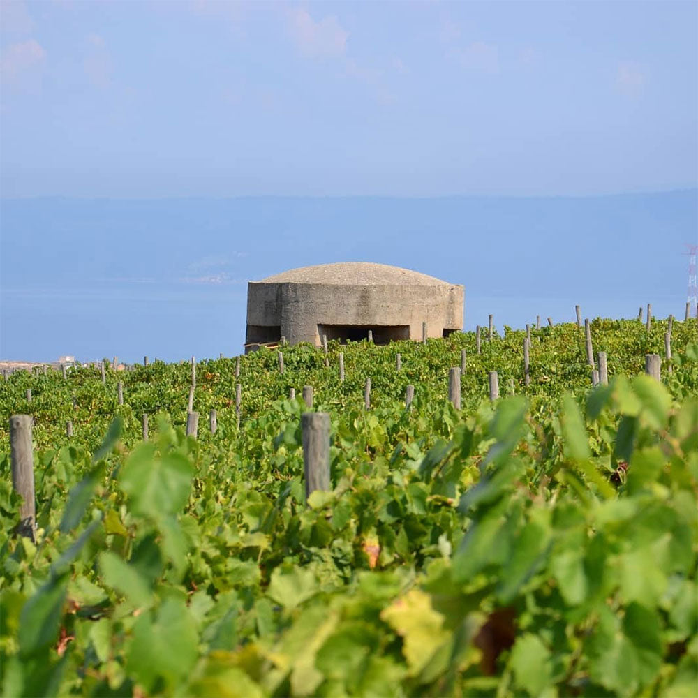 Le Casematte Le Casematte