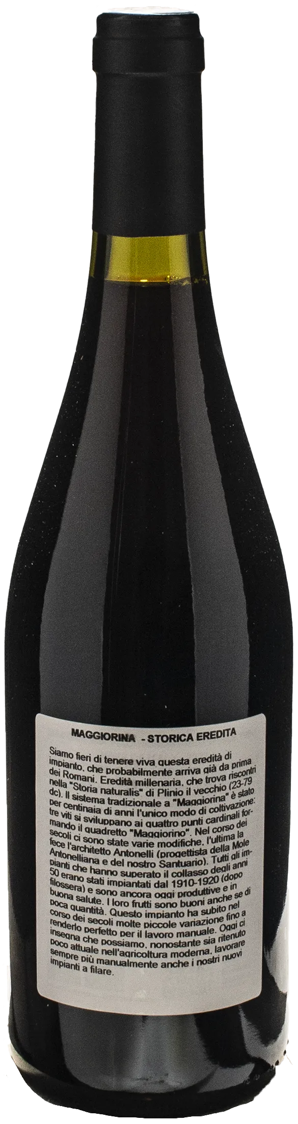 Le Piane La Maggiorina 2022