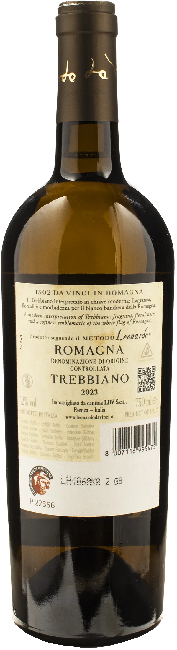 Leonardo da Vinci 1502 Duomo di Faenza Trebbiano 2023