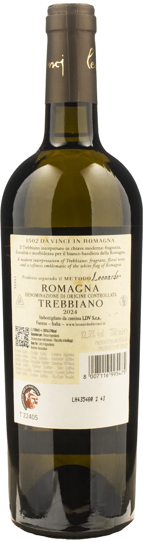 Leonardo da Vinci 1502 Duomo di Faenza Trebbiano 2024