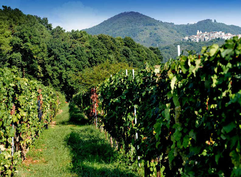 Liguria 3 Liguria 3