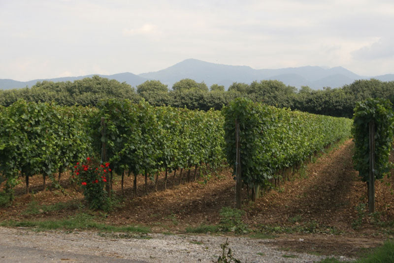 Lombardei 3 Lombardei 3