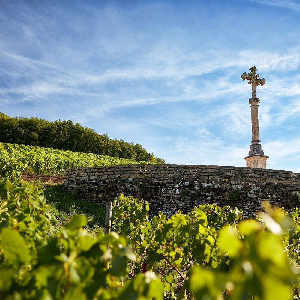 Louis Latour Louis Latour