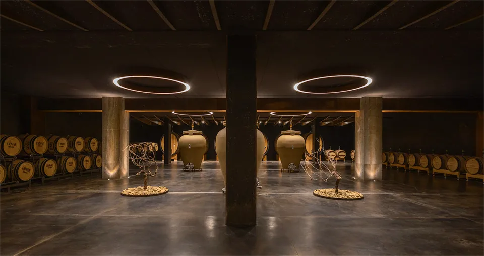 Lunae Bosoni Lunae Bosoni