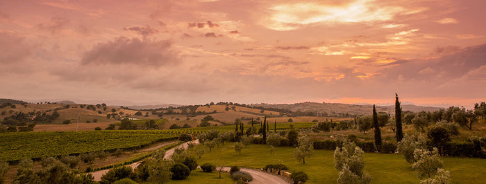 Marchesi Frescobaldi