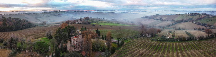Marotti Campi