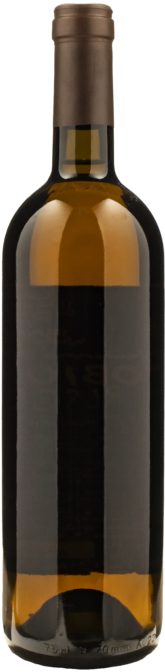 Monastero Trappiste Vitorchiano Coenobium Ruscum 2024