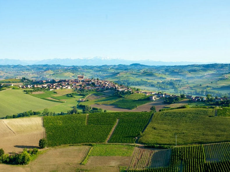 Montalbera Montalbera