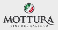Mottura logo Mottura logo