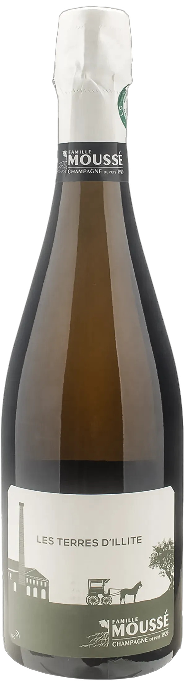 Mousse Fils Champagne Terre D'Illite Extra Brut 2020