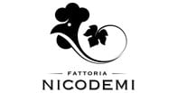 Nicodemi logo Nicodemi logo