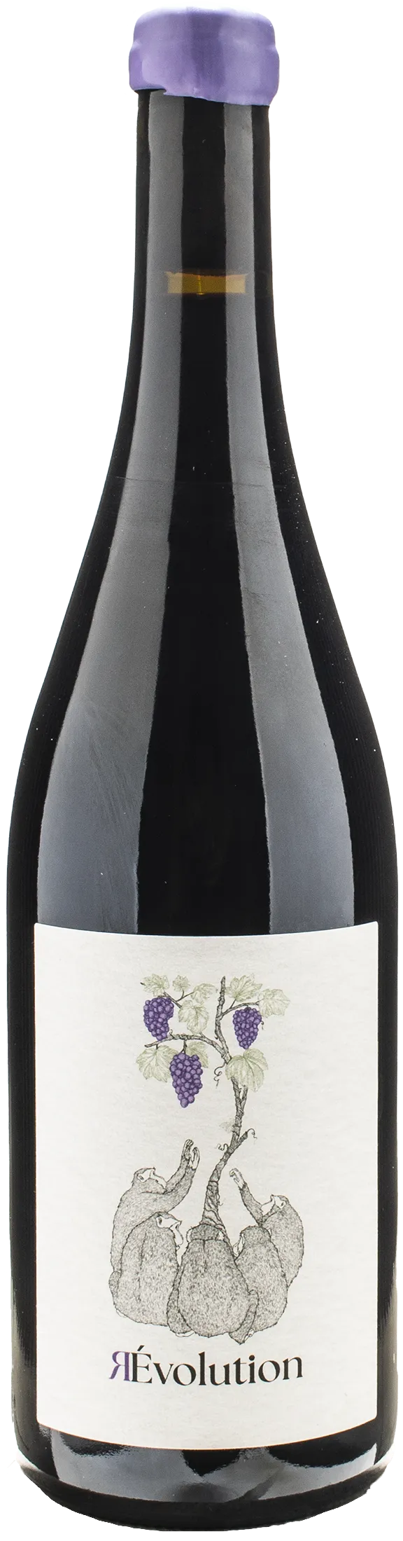 Oenosaphiens Revolution Malbec 2023