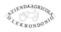 Olek Bondonio logo Olek Bondonio logo