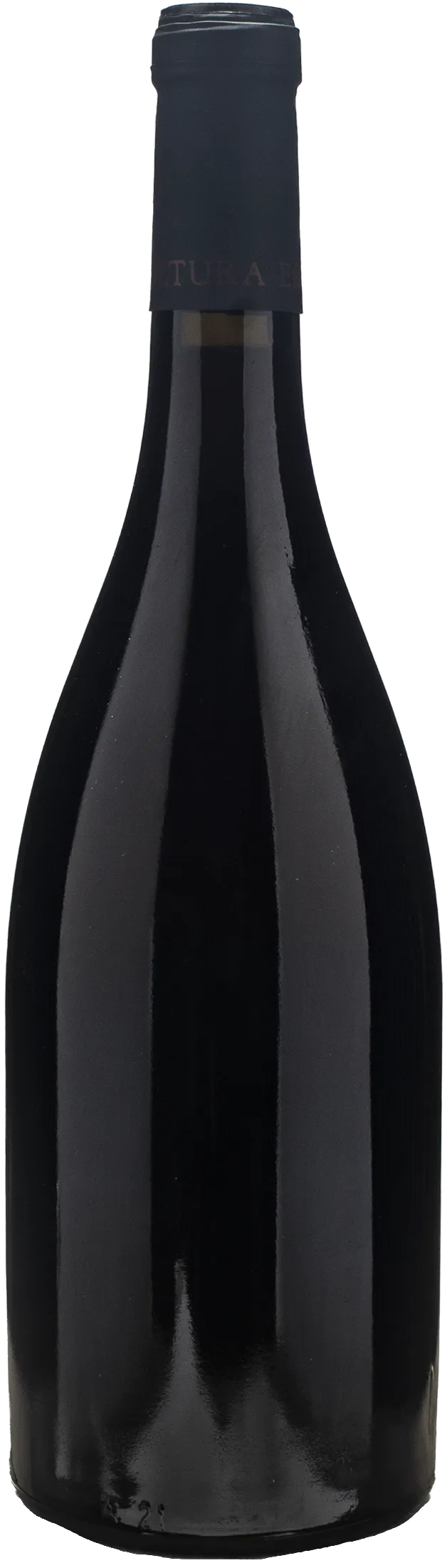 Ottin Pinot Nero L'Emerico 2021