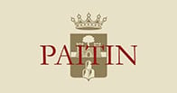 Paitin logo Paitin logo