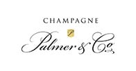 Palmer logo Palmer logo