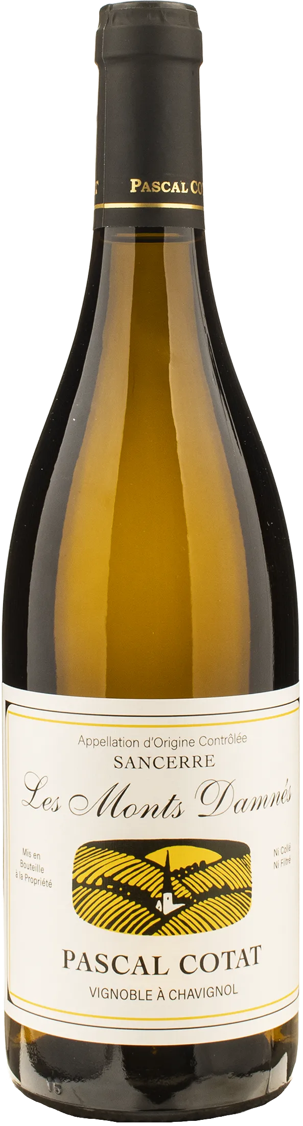 Pascal Cotat Sancerre Blanc Les Monts Damnés 2024 Organic | XtraWine