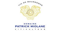 Patrick Miolane logo Patrick Miolane logo