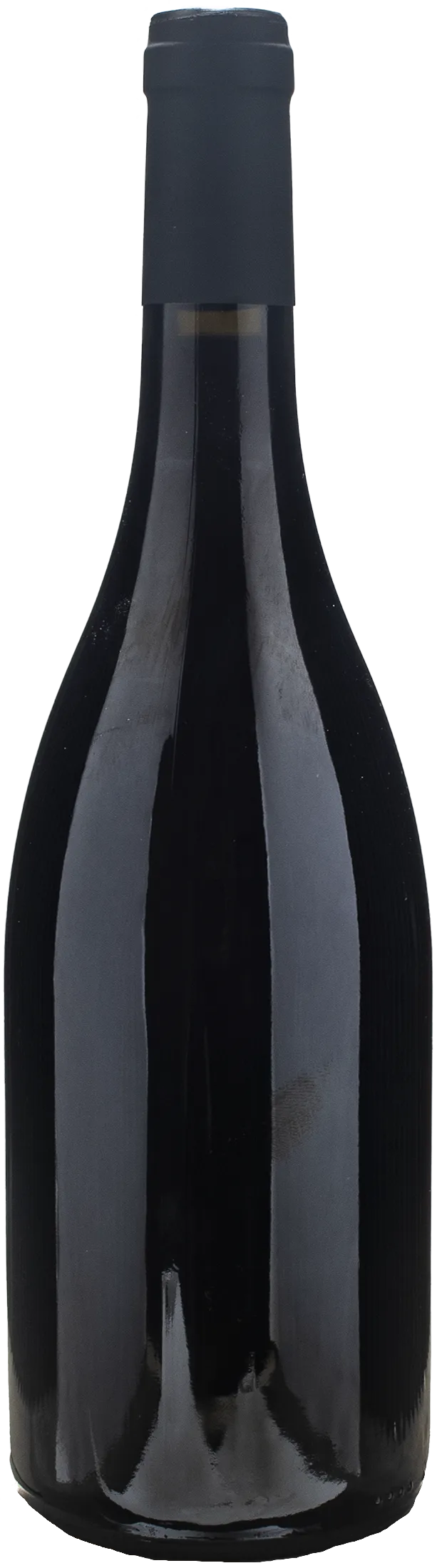 Petit Roy Hautes Cotes de Beaune Rouge Perrieres 2022