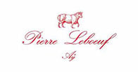 Pierre Leboeuf logo Pierre Leboeuf logo