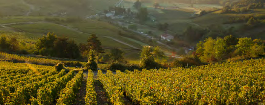 Pierre Ponnelle Pierre Ponnelle