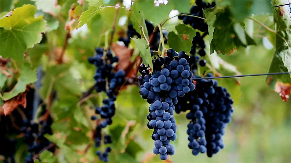 Pietrefitte Pietrefitte