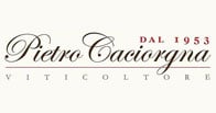 Pietro Caciorgna logo Pietro Caciorgna logo