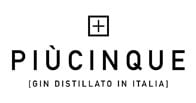 Piùcinque logo Piùcinque logo