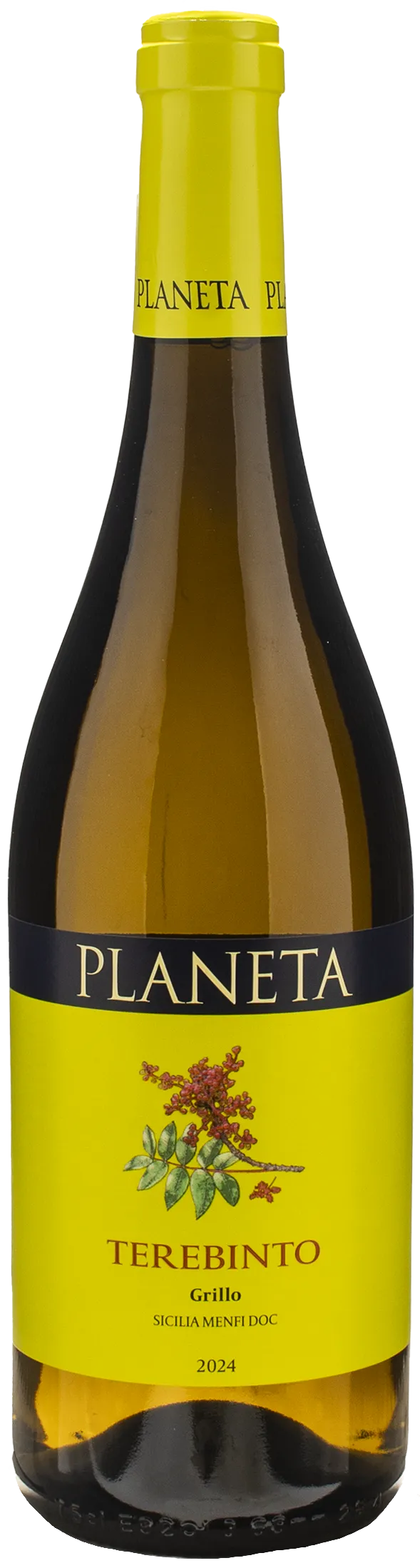 Planeta Terebinto Grillo 2024