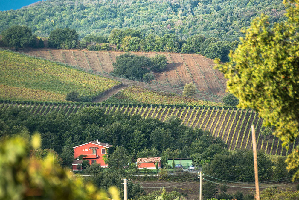 Podere 414 Podere 414