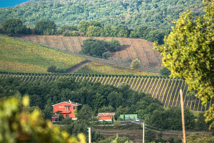 Podere 414