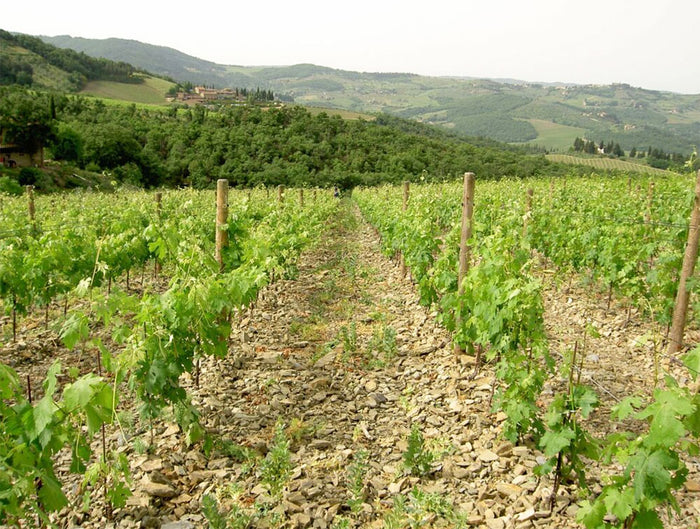 Poggio Scalette