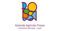 Possa logo Possa logo