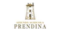 Prendina logo Prendina logo