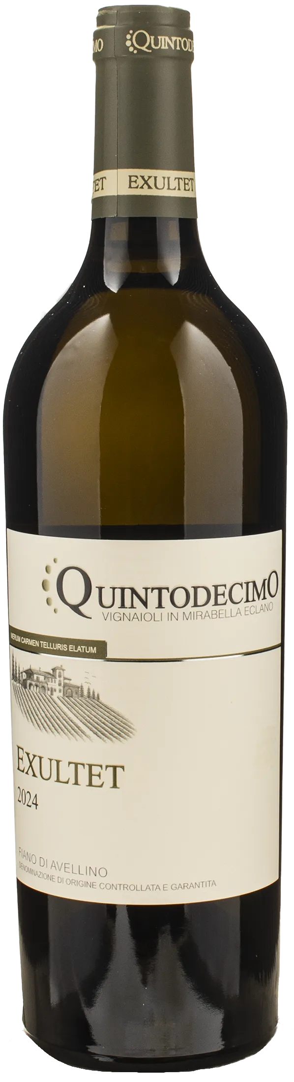 Quintodecimo Fiano di Avellino Exultet 2024