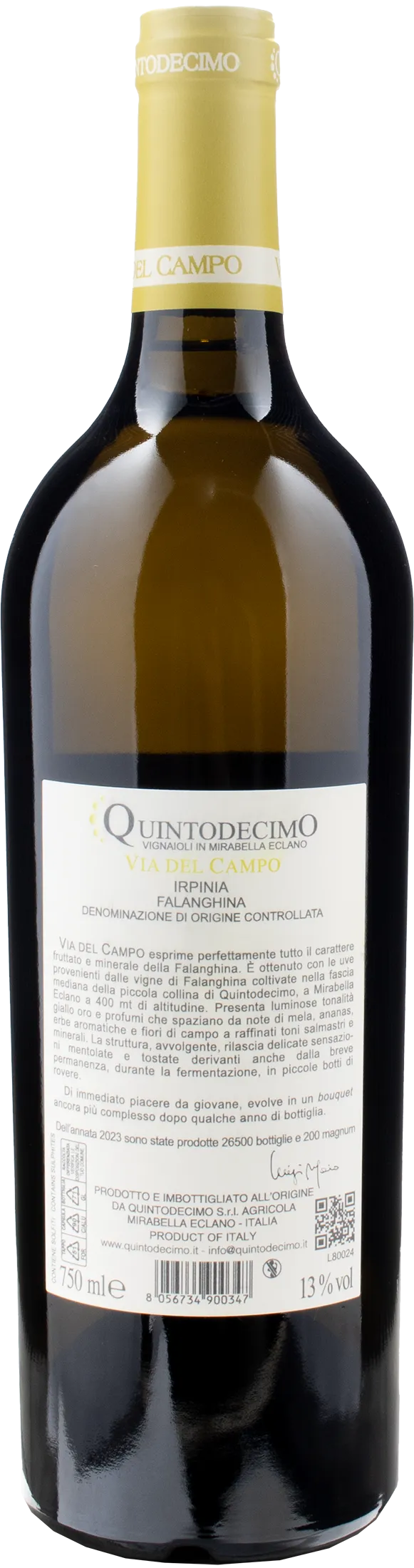 Quintodecimo Irpinia Falanghina Via del Campo Magnum 2023