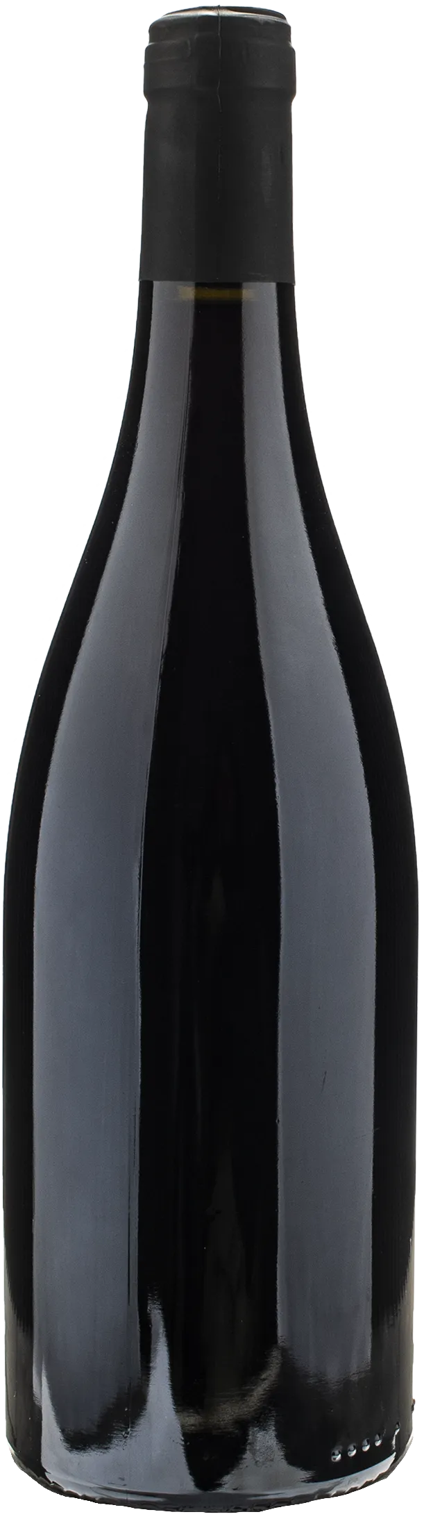 Robinot L'Ange Vin Regard du Loire Pineau d'Aunis